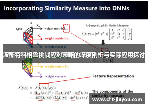 波斯特科格鲁挑战应对策略的深度剖析与实际应用探讨 波斯特科格鲁挑战应对策略的深度剖析与实际应用探讨